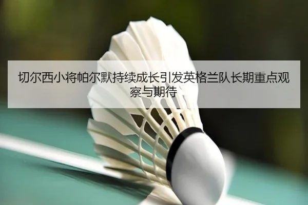 切尔西小将帕尔默持续成长引发英格兰队长期重点观察与期待